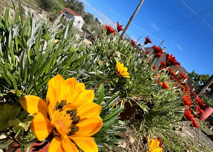 Kampos View * Ágios Nikólaos