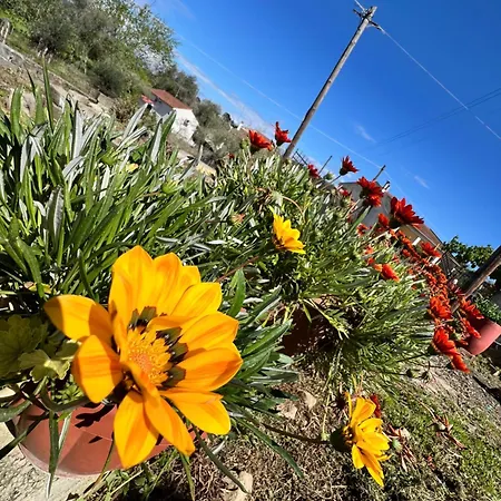 Kampos View * Agios Nikolaos (Corfu)